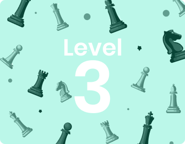 Level 3