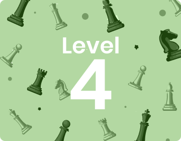 Level 4